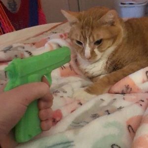 Meet your Posher, Nattie